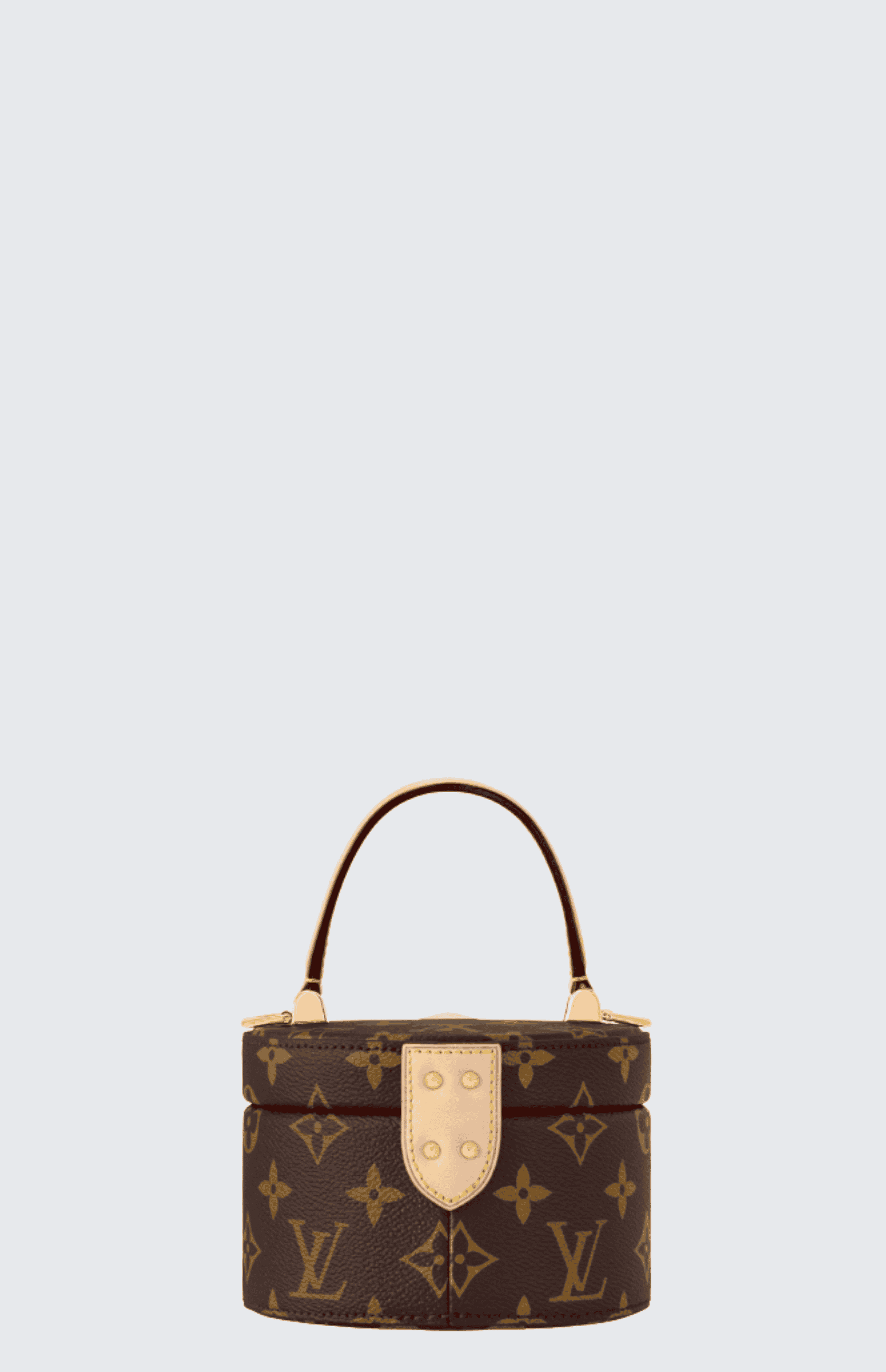 Louis Vuitton Scott Box Monogram back view